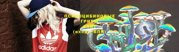 хмурый Армянск